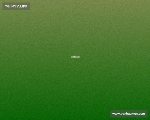 日本赛区叫什么